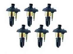 Replacement - Ignition Coil Kit - Set Of 6 - 2002 - 2005 Chevrolet Trailblazer EXT 4.2L 6-Cylinder - 904-079-K6