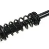API - Rear Strut And Coil Spring Assembly - 2014 - 2016 Subaru Forester - D0191-F446367 -Engine Electrical shop D0191 F446367 1